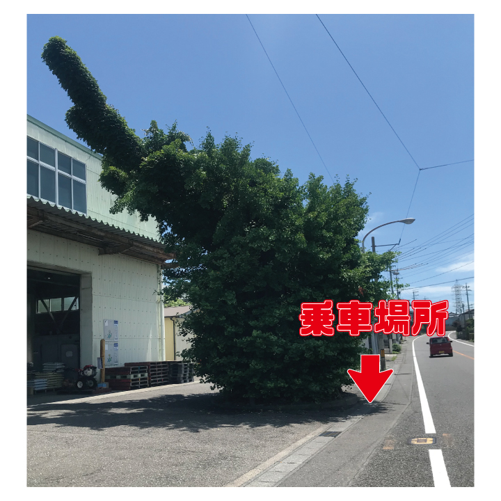 ⑪