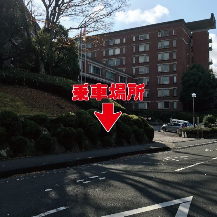 常葉　（県大）