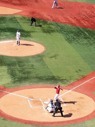 プロ野球観戦