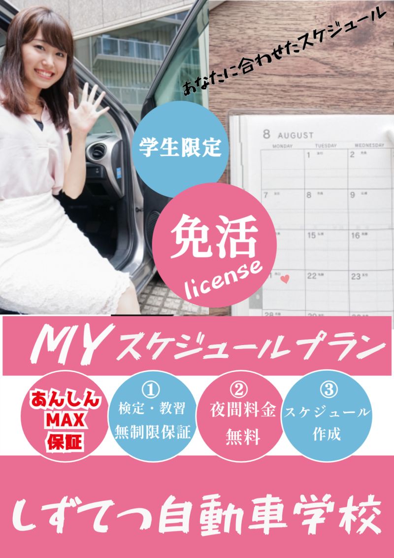 マイスケ　大キャッチ  縮小